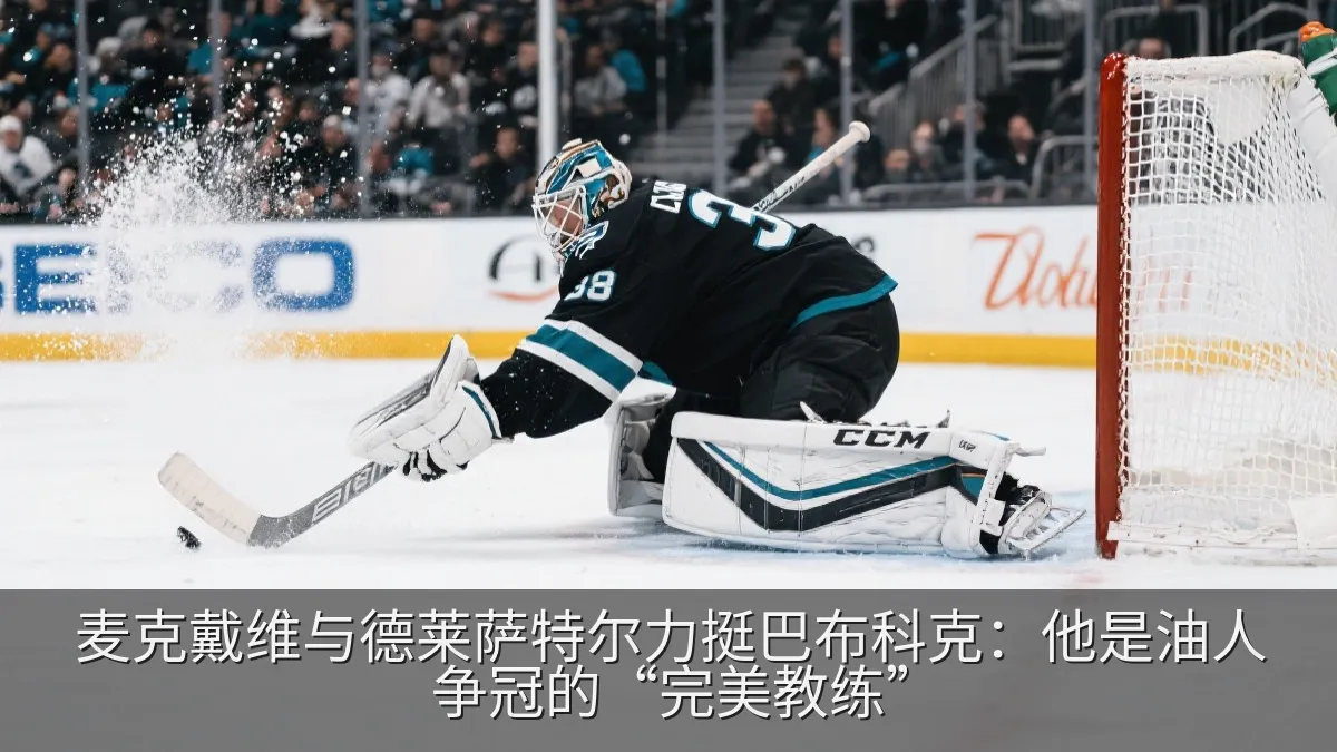 冰球守门员在比赛中准备扑救